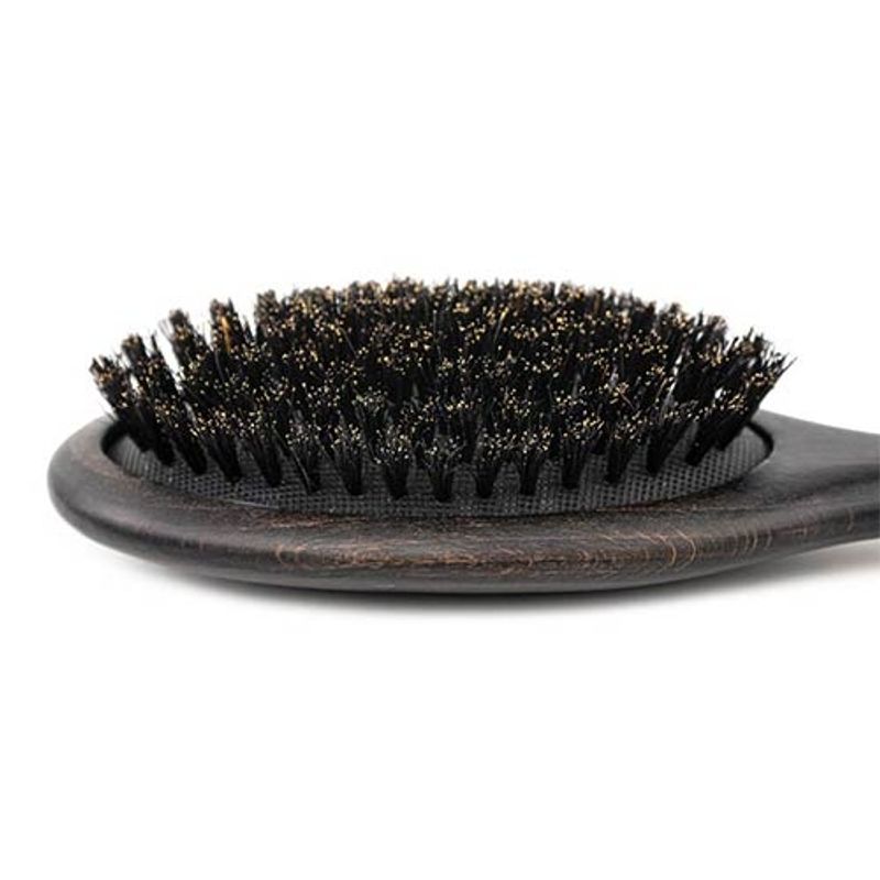 Bristles Brush, Ibanez