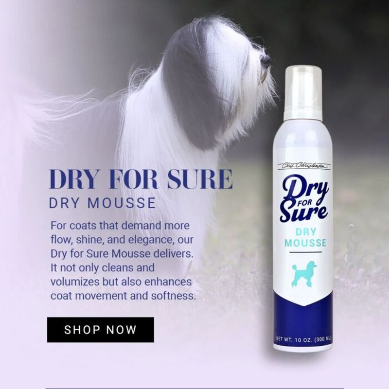 Dry For Sure Mousse 300ml, Chris Christensen