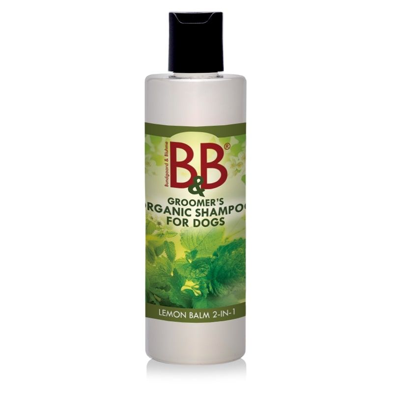 Melisse 2 in1 Shampo 100 ml, B&B