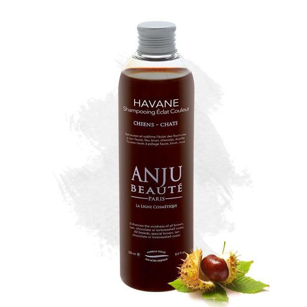 Hovedbilde Havane Shampo 250 ml, Anju-Beautè