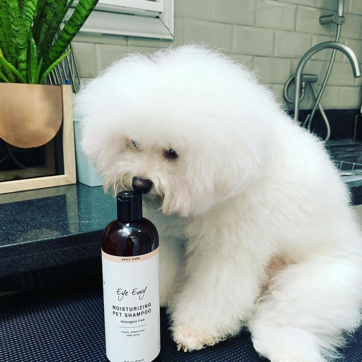 Pet Shampo 118 ml, Evy-Envy