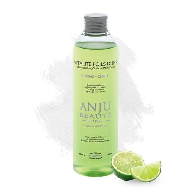 Hovedbilde Vitalitè Poliis Durs Shampo 250 ml, Anju-Beautè